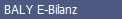 BALY E-Bilanz
