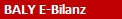 BALY E-Bilanz
