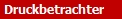 Druckbetrachter